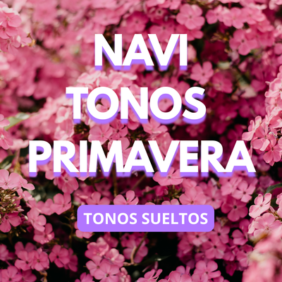 Navi colección primavera (tonos sueltos)
