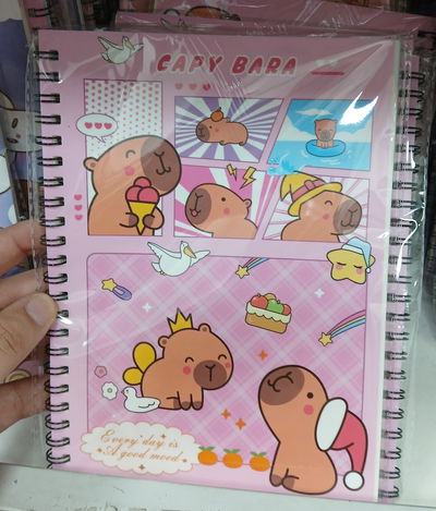 Cuaderno anotador anillado PERSONAJES 