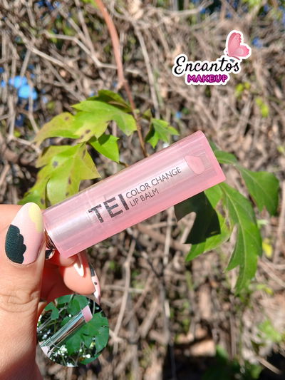 Bálsamo labial tipo dior TEI