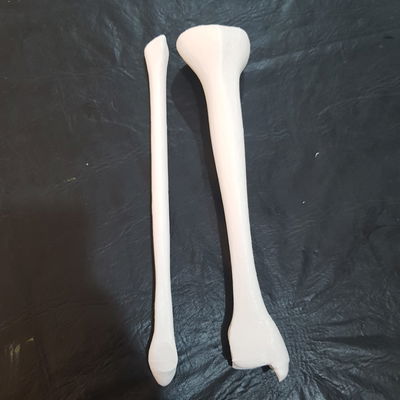 Tibia y Perone Humano