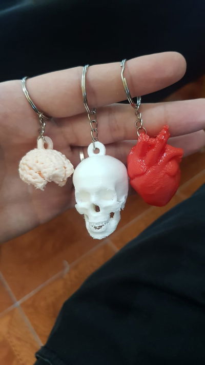 Llavero Corazon Craneo Cerebro
