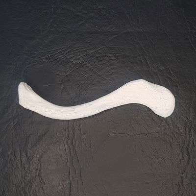 Clavicula Humana