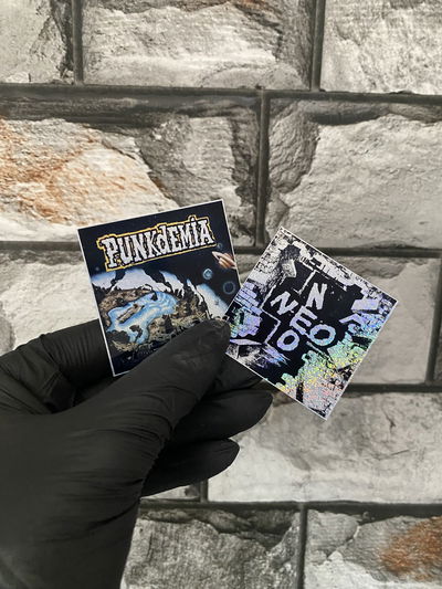 Pack x2 Stickers NEO PISTEA