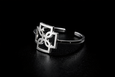 Anillo AMERI(Acero Quirurgico)