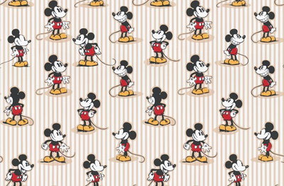 CORDURA MICKEY BEIGE
