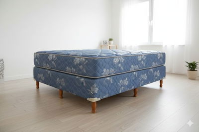 Box Pomez Real 140x26