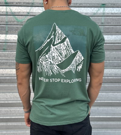 Remera The North Face