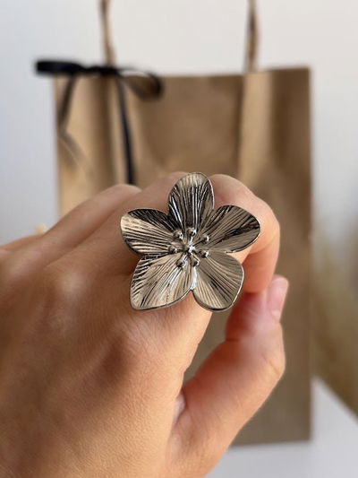 Anillo Amelia silver