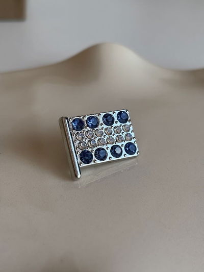 Pin escarapela bandera grande