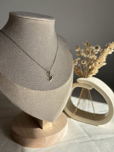 Conjunto Salchicha| Plata 925
