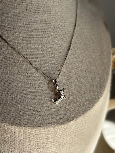 Conjunto Salchicha| Plata 925