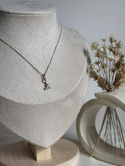 Conjunto Colibrí | Cadena veneciana Plata 925