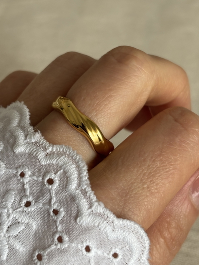 Anillo Saturno