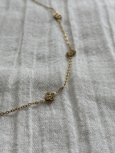 Collar Amber