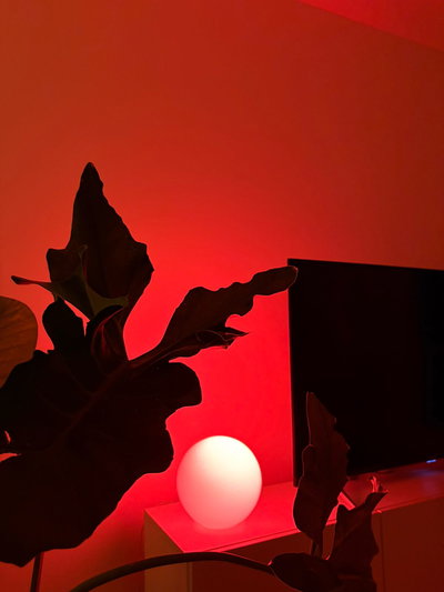 Lámpara Esfera de Vidrio Grande