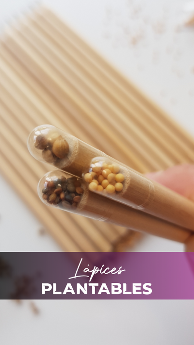 Lápices Plantables