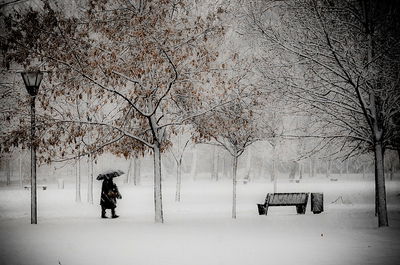 Día de Nieve 50x75cm