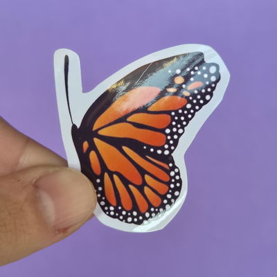 Mariposa 5