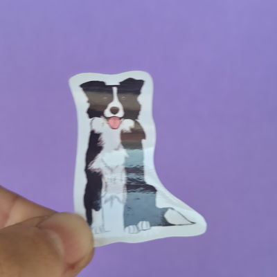 Perrito 7