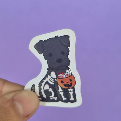 Perrito 5
