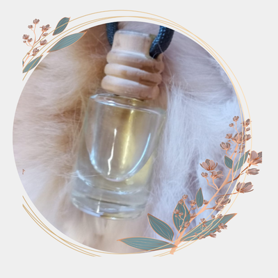 Ambientador de auto y placard