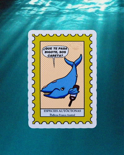 Sticker "Ballena Franca Austral"