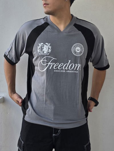 🔥Remera Fredoom gris Premium