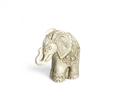 Elefante Recto 