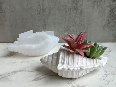 Molde Silicona - Caracol de Mar - Cod1134