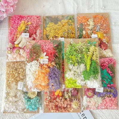 Flores Secas bolsa grande