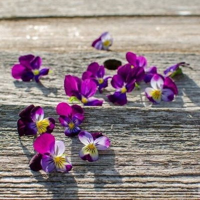 Esencias para Velas - Violeta y Sandalo (Nectar) 50ml