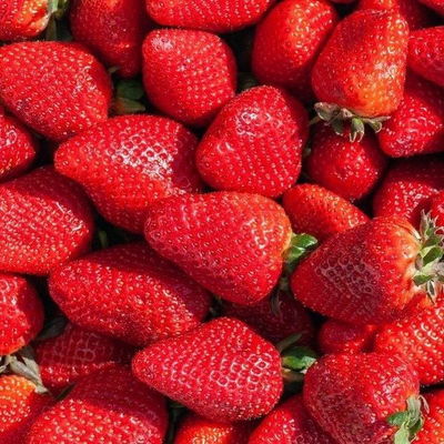 Esencias Hidrosolubles - Frutilla 250 ml