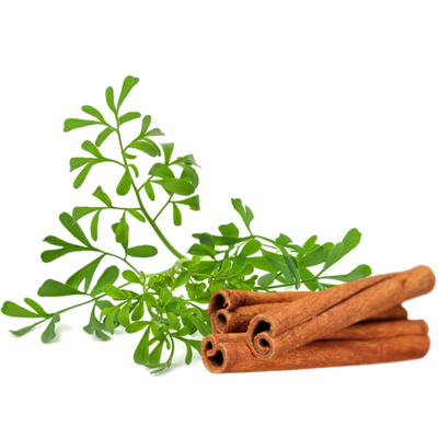 Esencias Hidrosolubles - Canela y Ruda 50ml