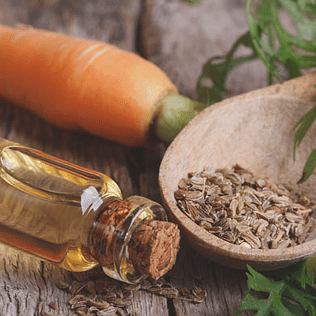 Manteca de Zanahoria 170gr