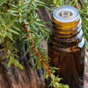 Aceite Esencial de Enebro 10ml
