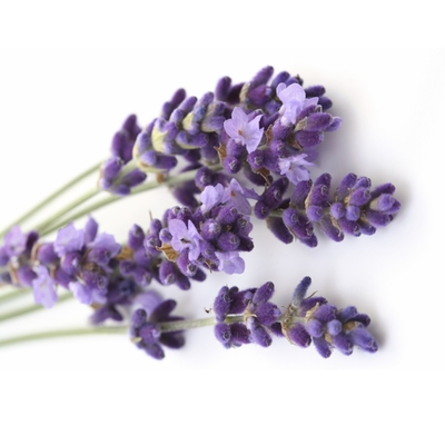 Esencias para Velas - Lavanda 250ml