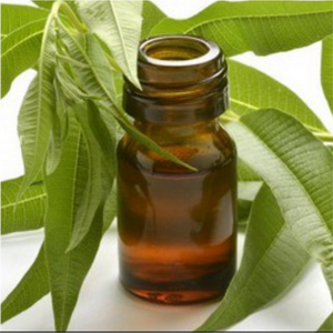 Aceite Esencial de Citronella 10ml