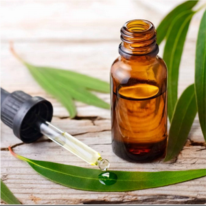 Aceite Esencial de Eucalipto 10ml
