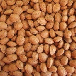 Aceite de Almendras Dulces PURO PRIMERA PRESIÓN EN FRIO