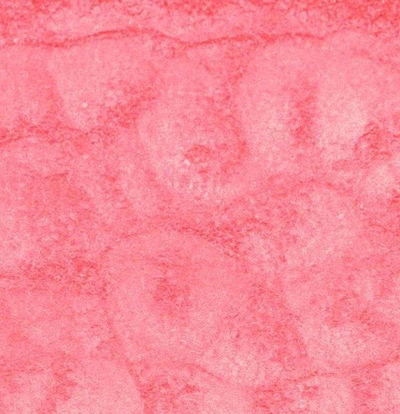 Mica Peach Pink