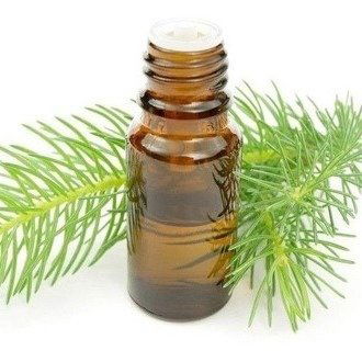 Aceite Esencial de Pino 10ml