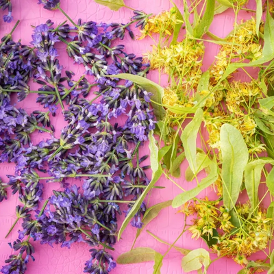 Esencias para Velas - Tilo Lavanda 250ml