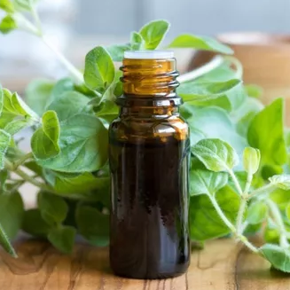Aceite Esencial de Oregano 10ml