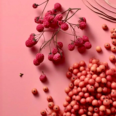 Esencias Hidrosolubles - Frambuesa Pimienta Rosa 50ml