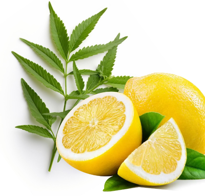 Esencias para Velas - Limón Verbena 50ml