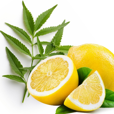 Esencias Hidrosolubles - Limón Verbena 250ml