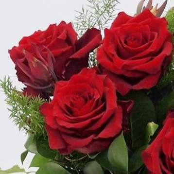 Esencias para Velas - Rosa Madre 50ml