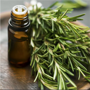 Aceite Esencial de Romero 10ml