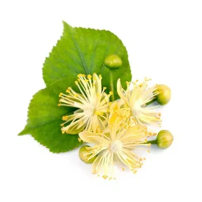 Esencias para Velas - Tilo 250ml