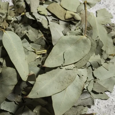 Hojas de Eucalipto - Molido - 50grs